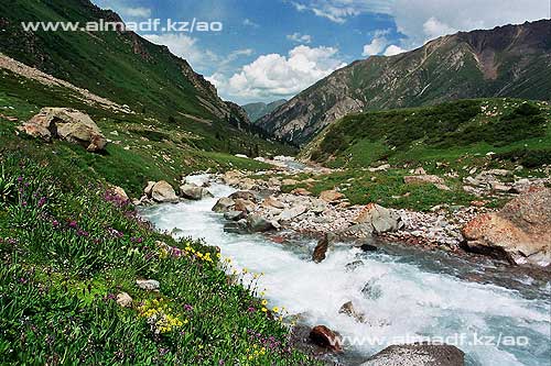 http://www.almadf.kz/ao/st/photos/32.jpg