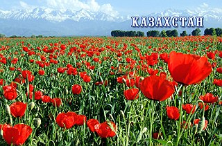 кликнуть для увеличения