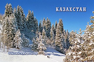 кликнуть для увеличения
