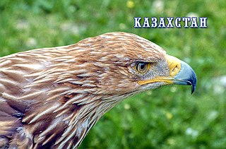 кликнуть для увеличения
